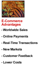 E-Commerce Advantages